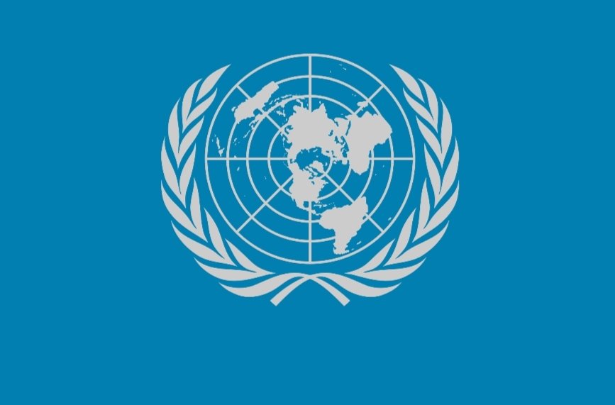 UNITED NATIONS NOTES