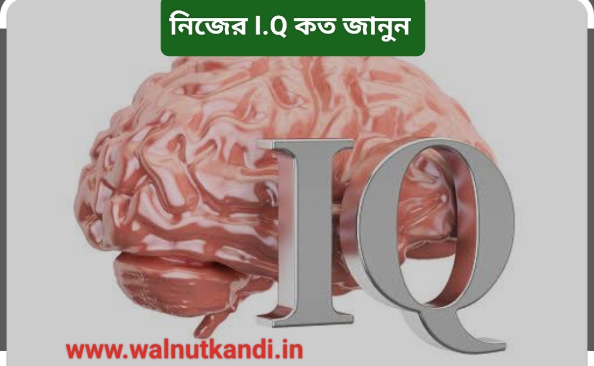 IQ Test Online And Solutions