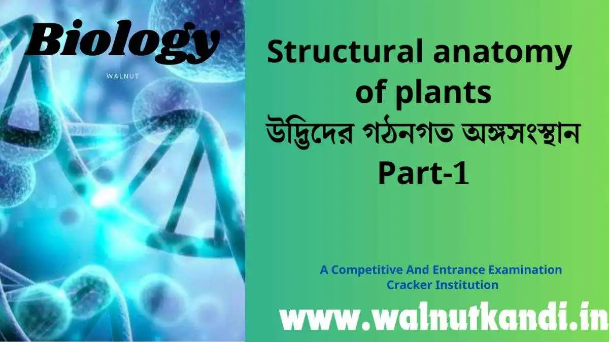 Structural anatomy of plants||উদ্ভিদের গঠনগত অঙ্গসংস্থান