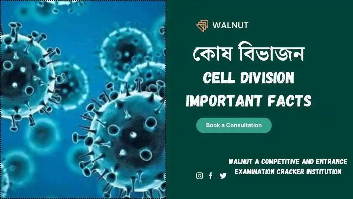 Cell Division||কোষ বিভাজন